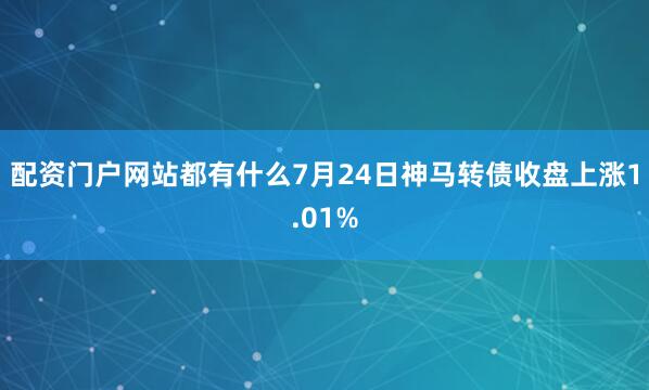 配资门户网站都有什么7月24日神马转债收盘上涨1.01%