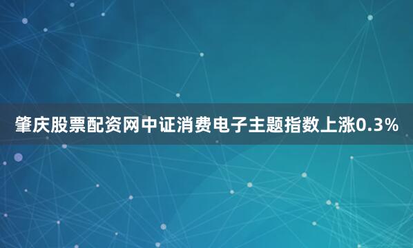肇庆股票配资网中证消费电子主题指数上涨0.3%