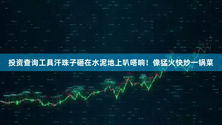 投资查询工具汗珠子砸在水泥地上叭嗒响！像猛火快炒一锅菜